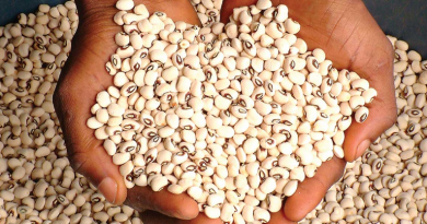 Beans Price in Nigeria
