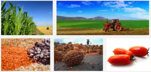 Agricultural commodities prices