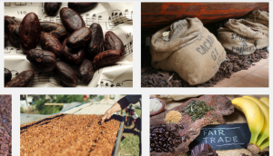 Cocoa Price in Nigeria